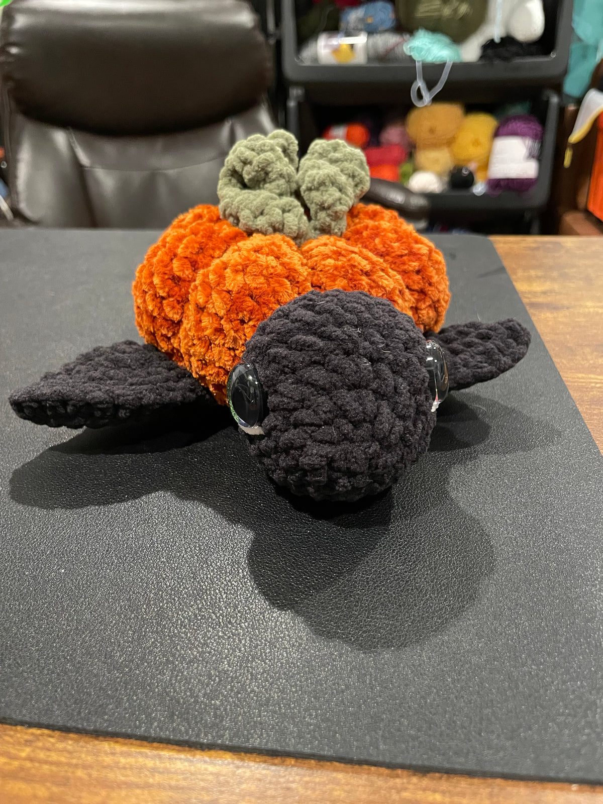 Pumpkin Shell Turtle